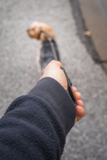 Low section of person with dog on street