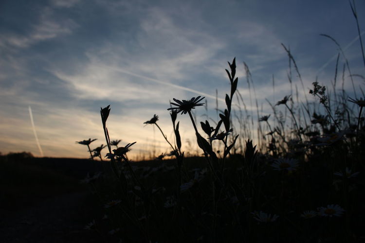 sky