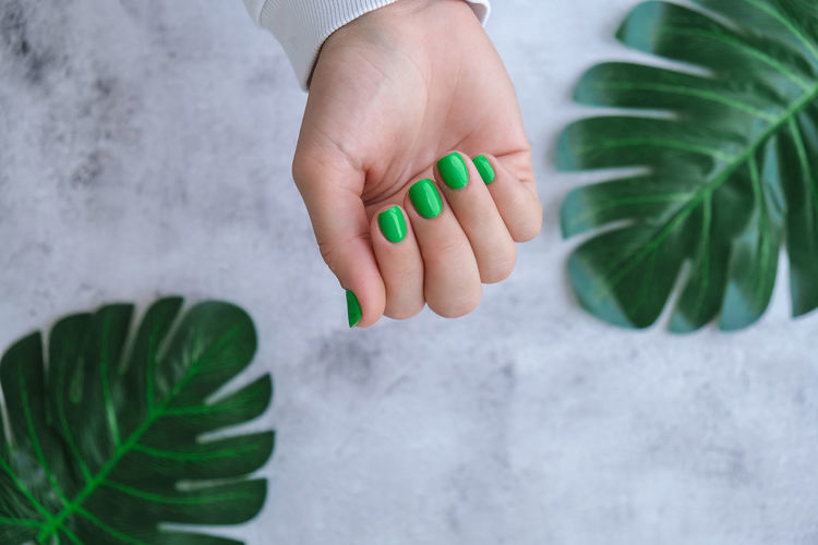 Close-up of hand holding leaves