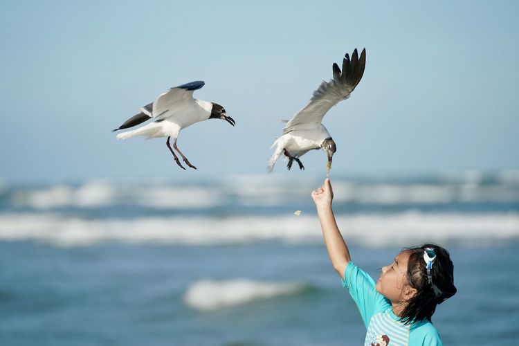 Girl feeding seagulls at beach against sky