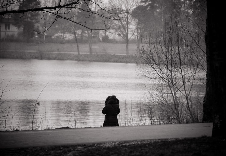 Rear view of silhouette man standing by bare tree