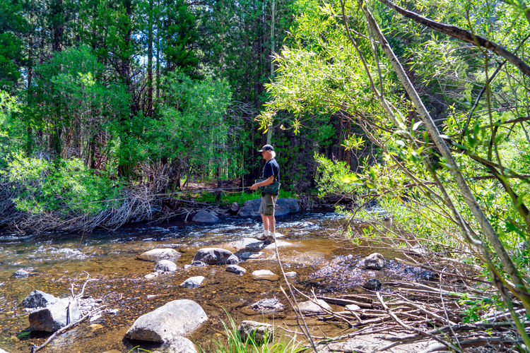 Man standing by stream in forest