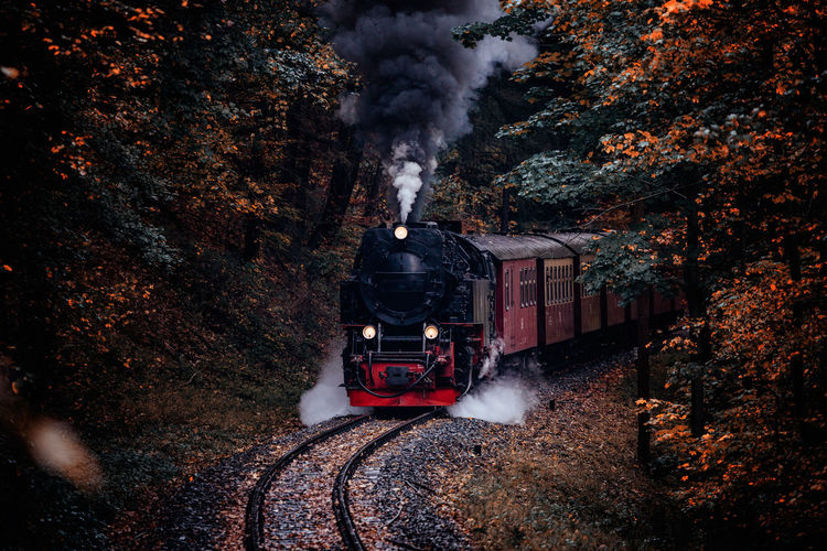 Steam locomotive amidst trees in forest