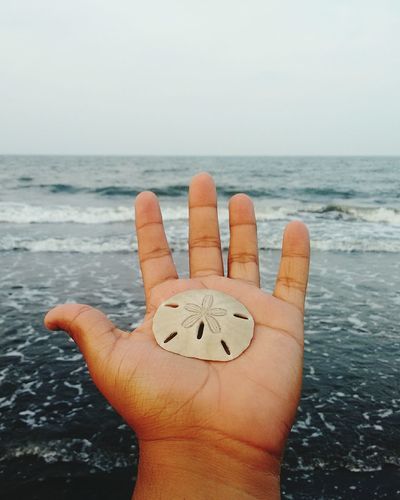 High angle view of human hand in sea