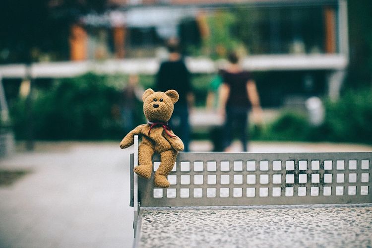 Teddy bear hanging on table tennis table