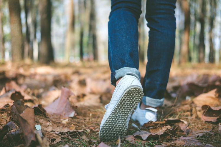 Low section of person walking in forest
