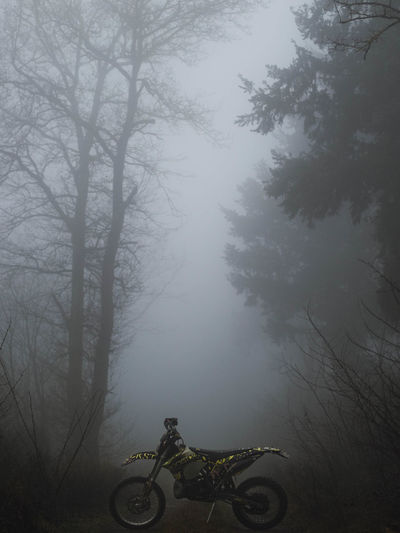 Bicycle parked amidst trees