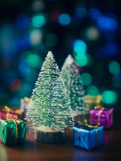 Close-up of christmas trees with gifts at night