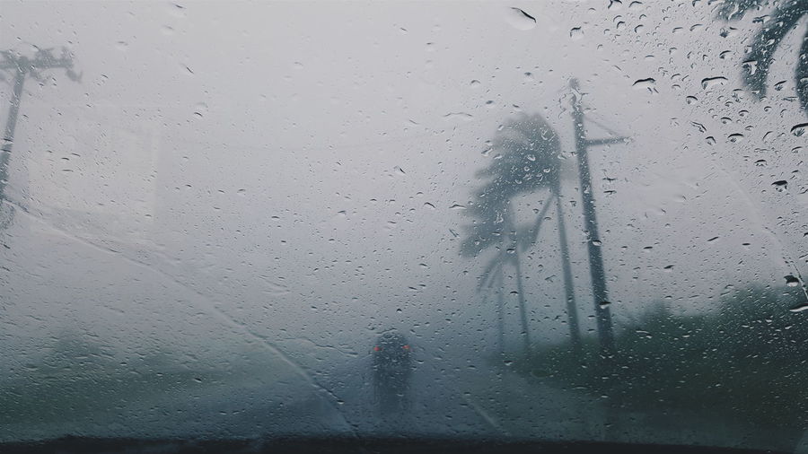 Silhouette trees against sky seen through car windshield during rain