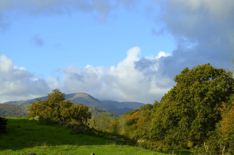Ambleside countryside at the north of lake windermere in cumbria