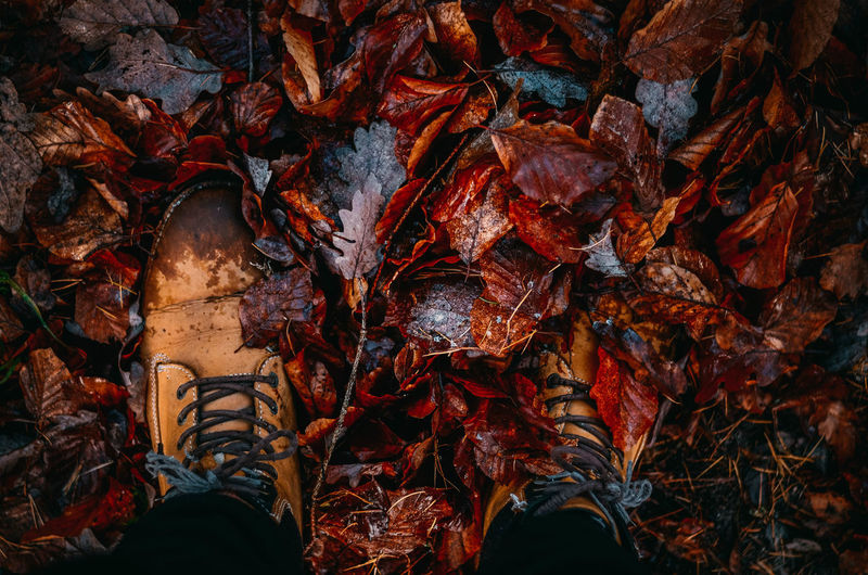 Low section of man standing on dry leaves during autumn