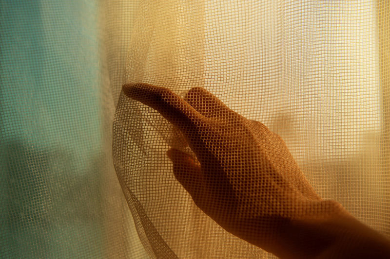 Cropped hand of person on netting