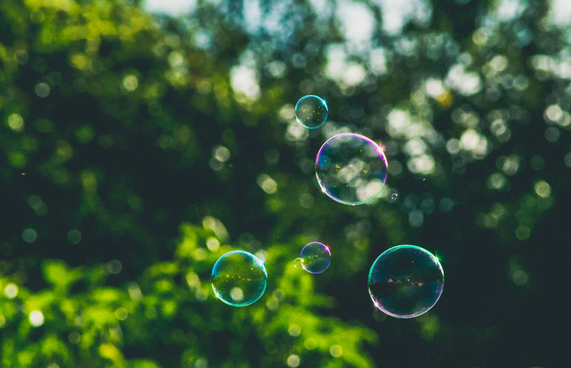 Low angle view of bubbles against trees