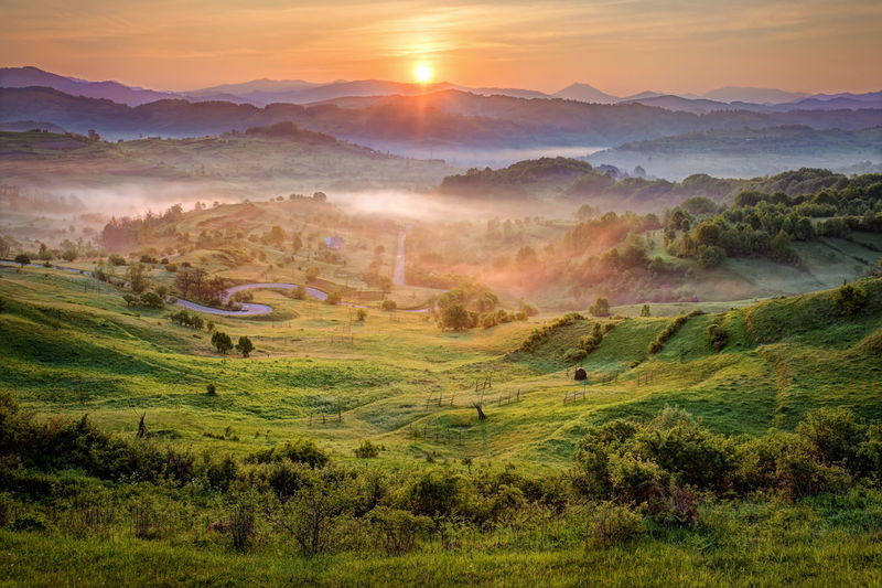 Scenic view of green landscape during sunset