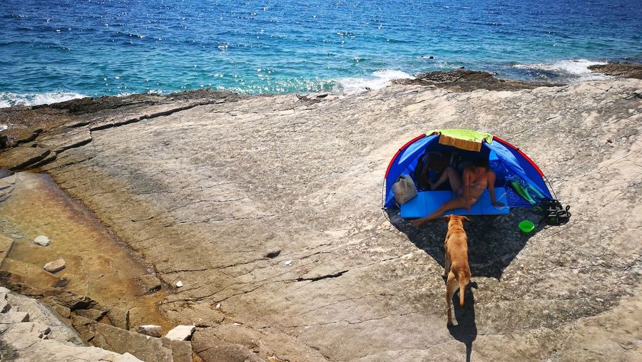 Woman with dog sitting in tent at beach