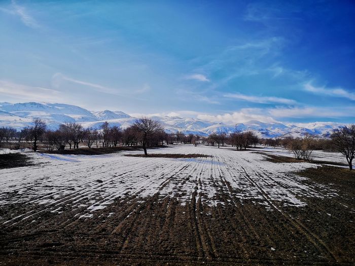 Scenic view of snowcapped field against sky