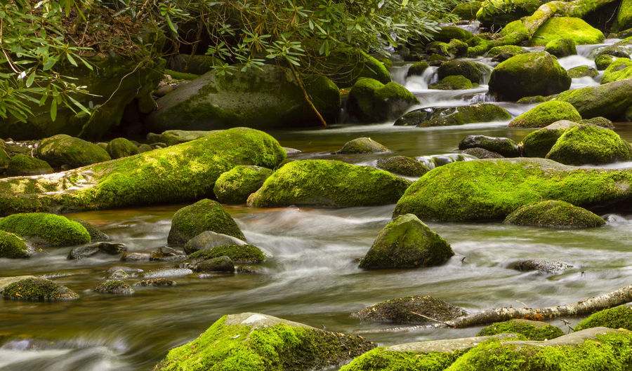 Scenic view of river flowing through moss covered rocks