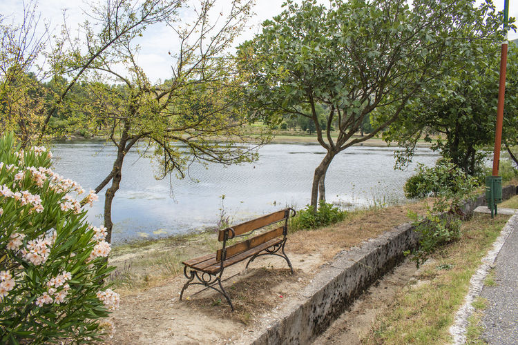 Empty bench by lake against trees