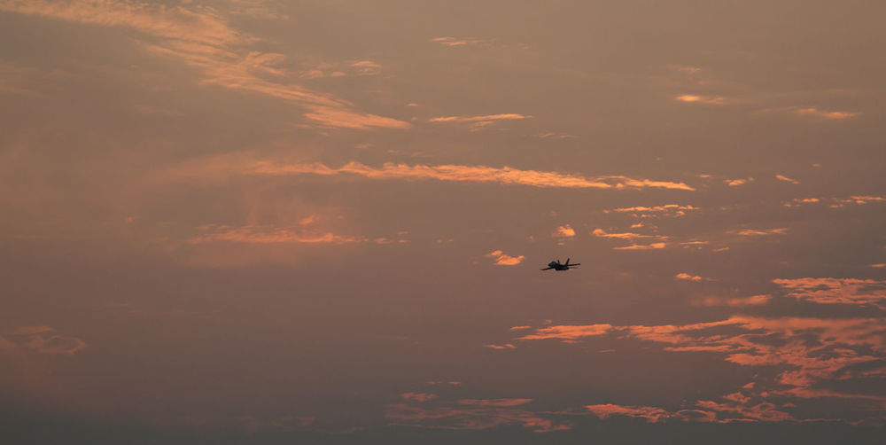 Low angle view of fighter jet flying in sky during sunset