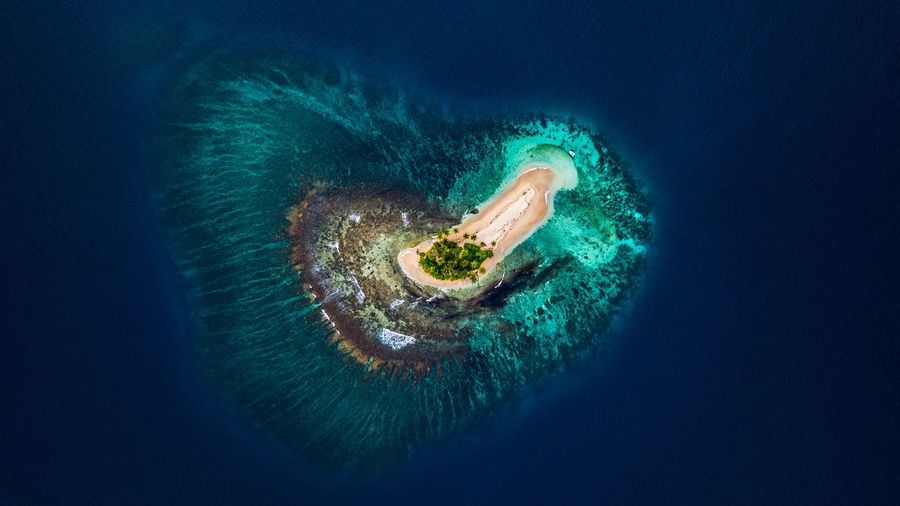 Aerial view of island in sea
