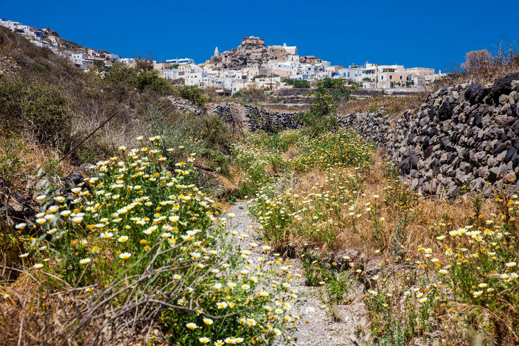 Walking path number 12 to akrotiri village in santorini island in a beautiful early spring day