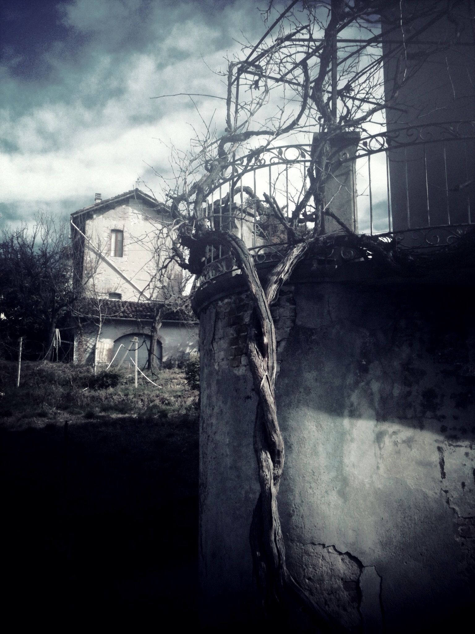 architecture, building exterior, built structure, bare tree, sky, tree, old, abandoned, cloud - sky, low angle view, building, house, weathered, obsolete, damaged, deterioration, branch, outdoors, no people, cloud