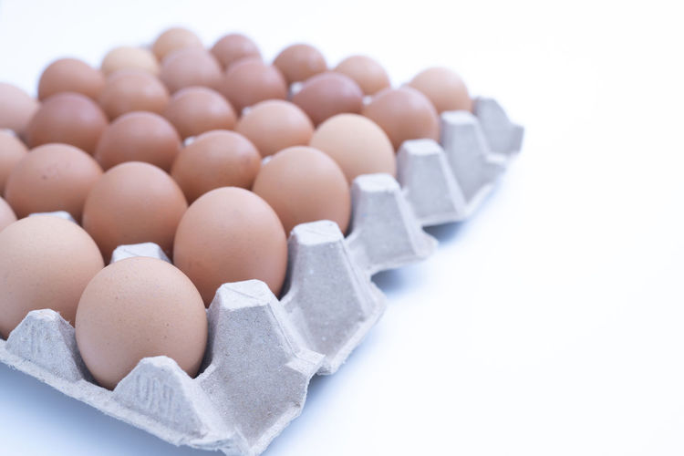 High angle view of eggs in white background
