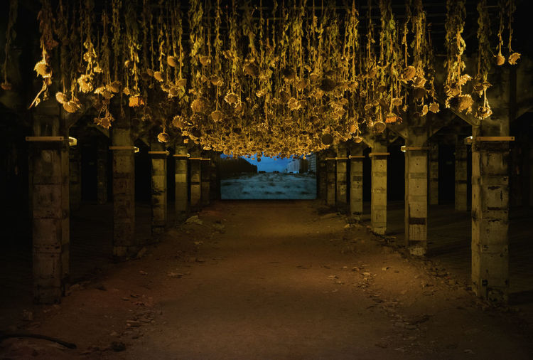Flowers hanging from ceiling in abandoned building at night