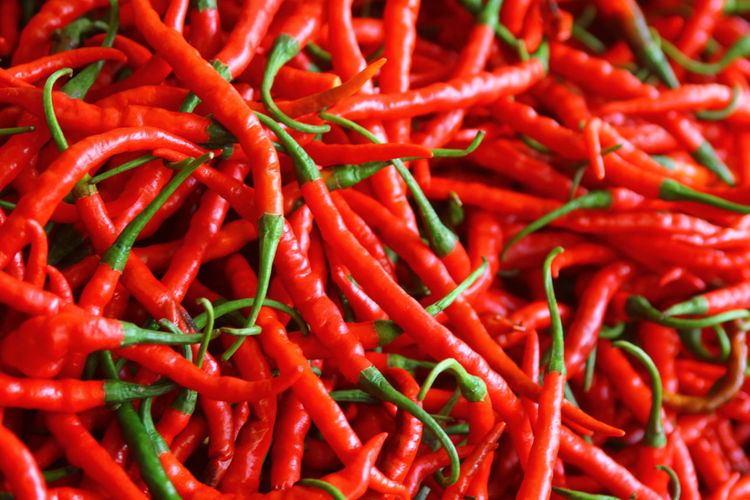 Red chilie