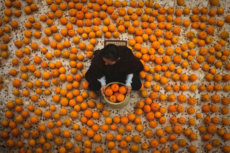 High angle view of boy with orange berries