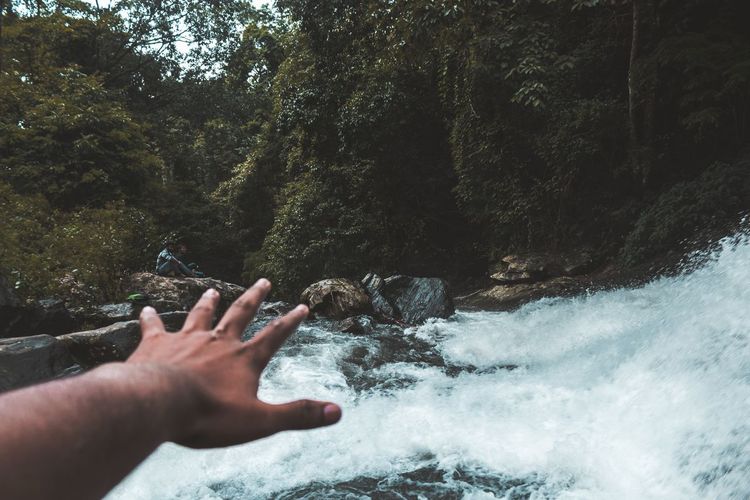 Cropped image of hand against stream in forest