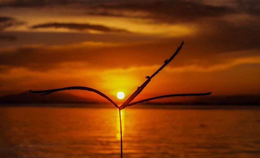Scenic view of sea against orange sky