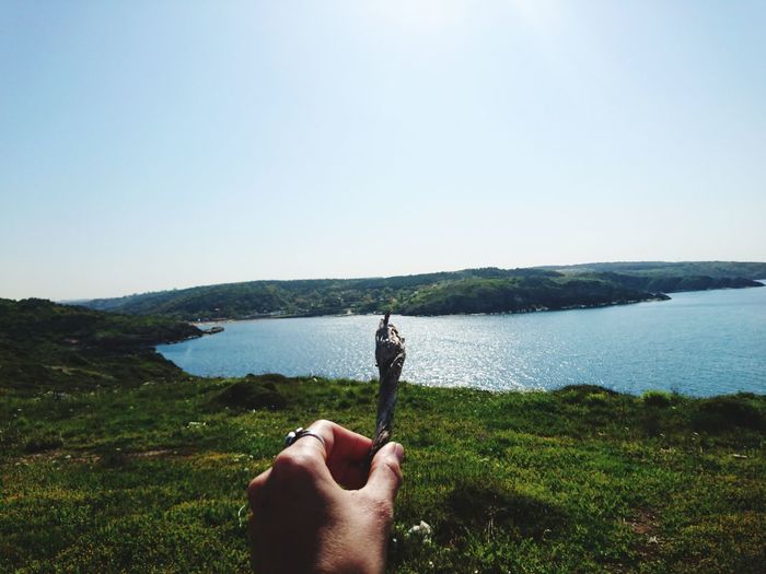 Cropped hand holding dead plant with lake in background against clear sky