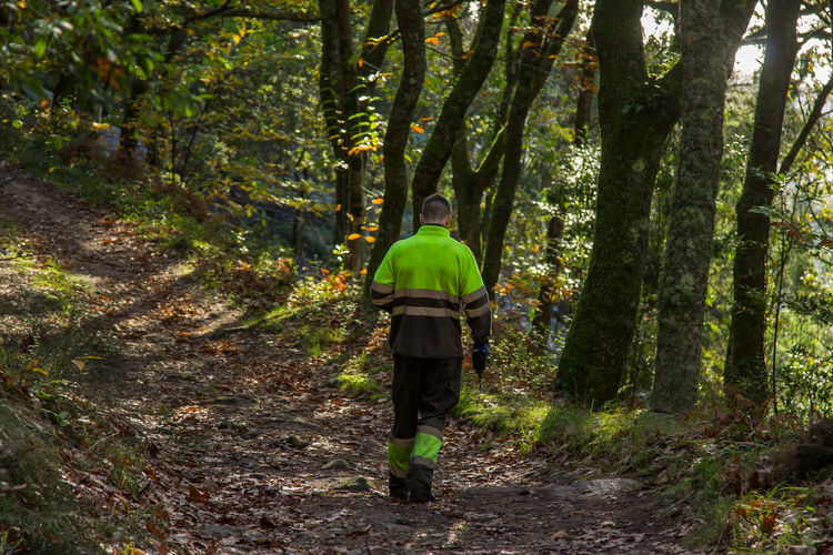 Rear view of person walking on footpath in forest