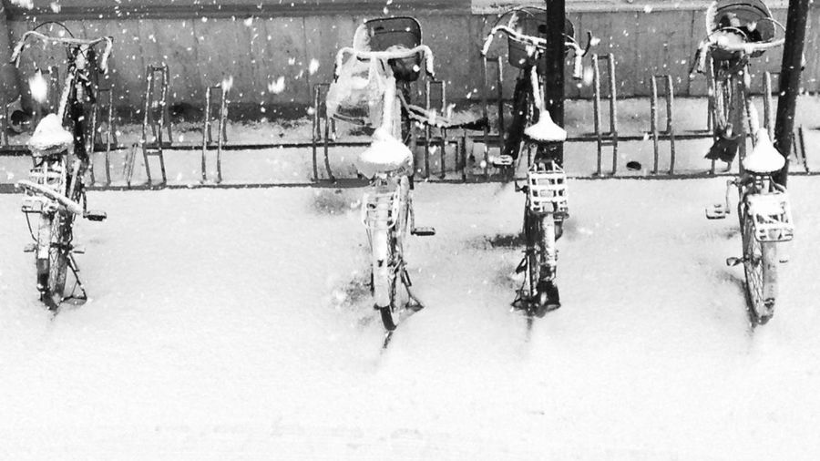 High angle view of bicycles parked on snow