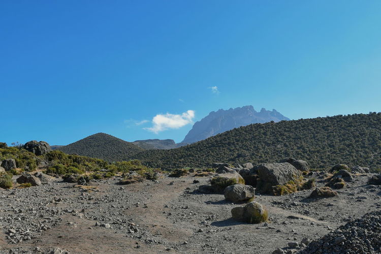 Climbing mount kilimanjaro with mawenzi peak at the background, tanzania
