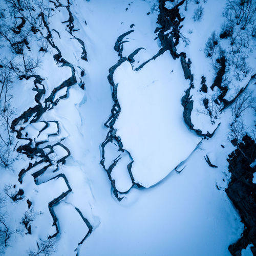 High angle view of snow covered trees on land