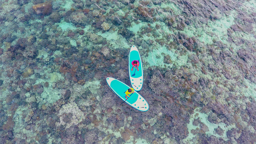 High angle view of people paddleboarding in sea