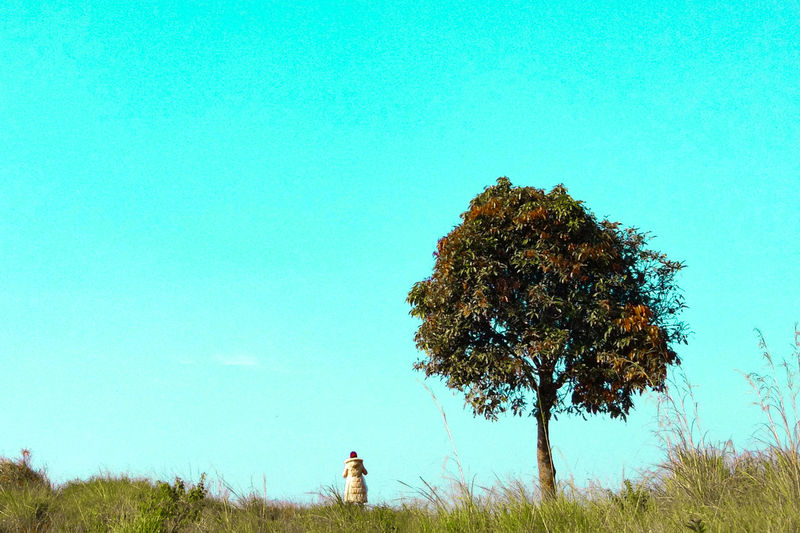 Rear view of man looking at tree