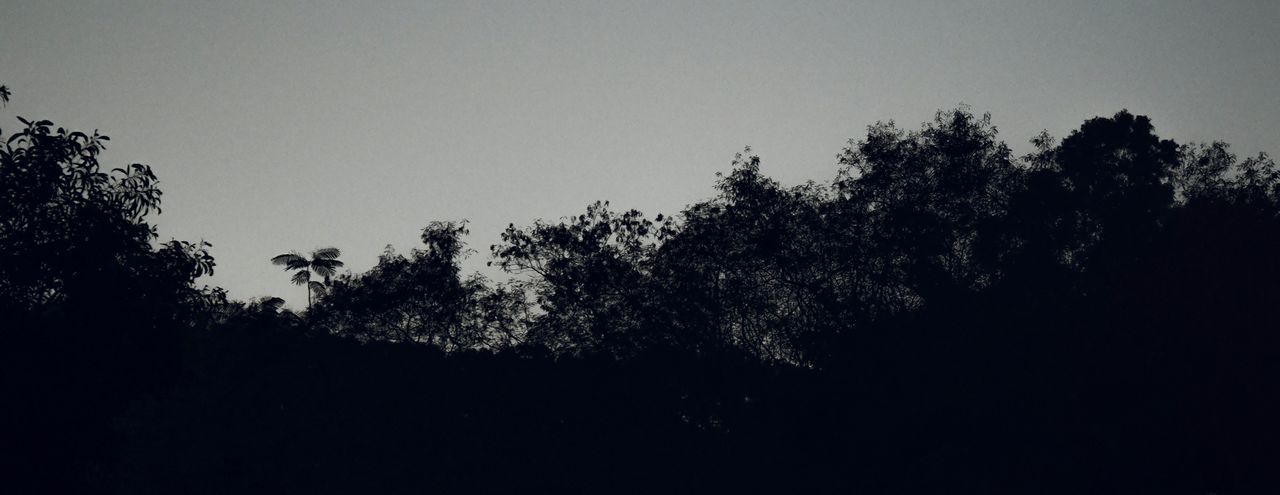 Silhouette trees against clear sky