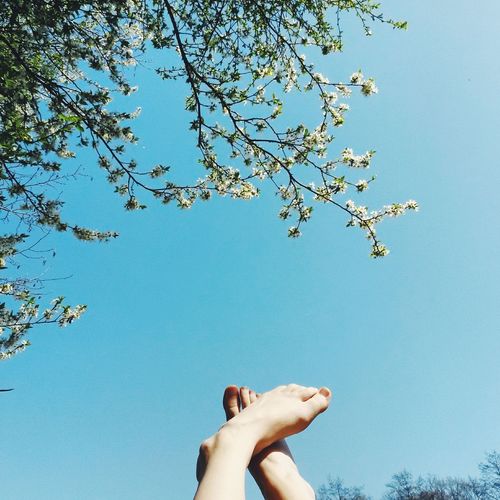 Low angle view of tree and human feet against clear blue sky