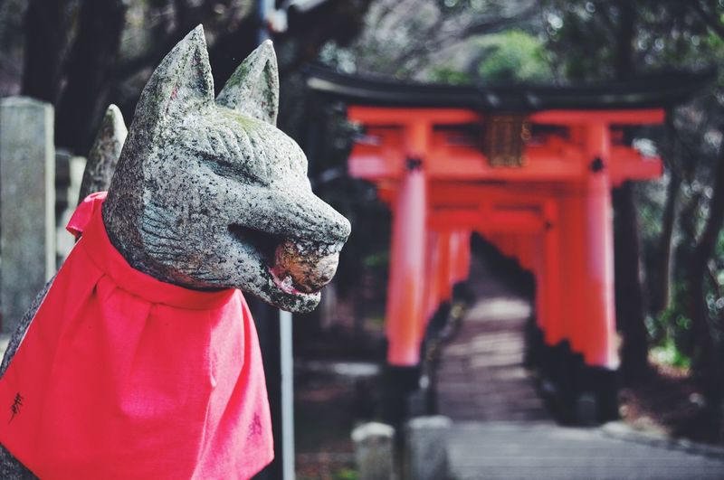 Stone fox icon in front of japanese temple gates in kyoto, japan. fushimi inari shrine.