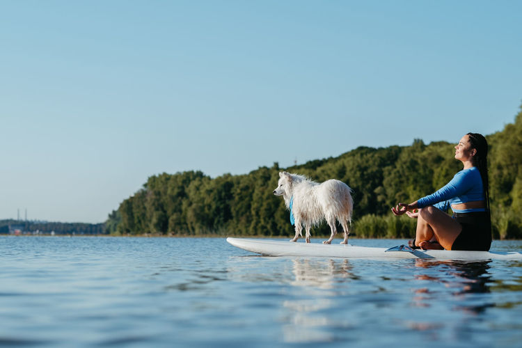 Young woman meditating on the city lake while sitting on the sup board with her dog japanese spitz
