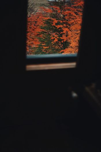 Close-up of camera seen through window