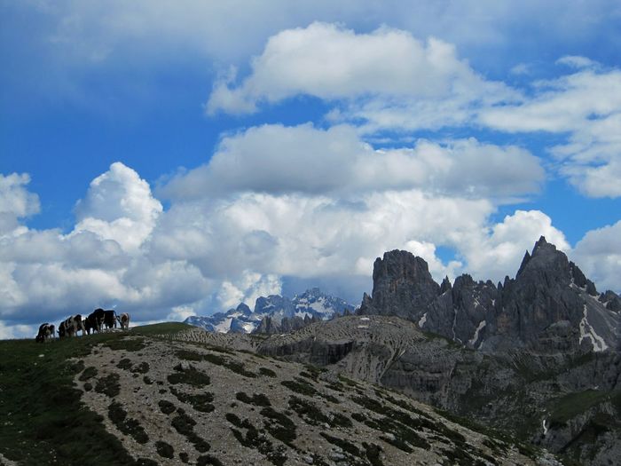Scenic view of landscape against cloudy sky