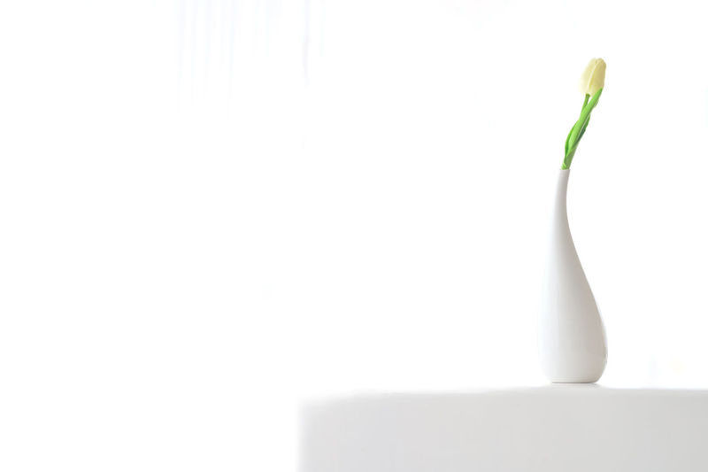 Close-up of white background