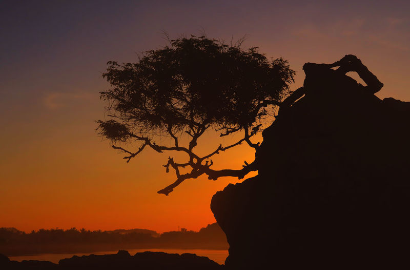 Silhouette tree on rock formation at kuta beach against sky during sunset
