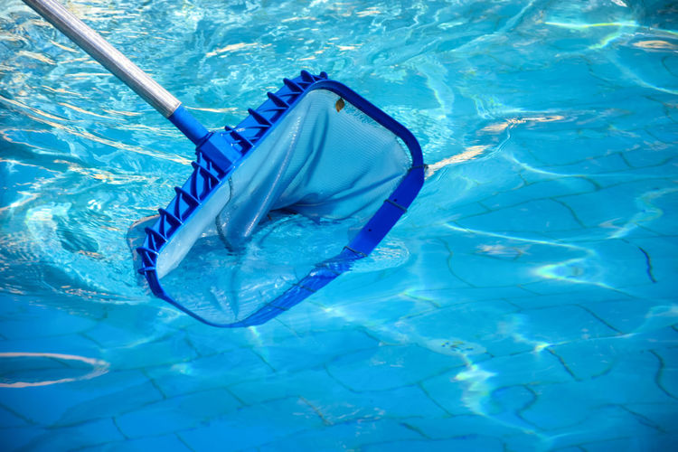 Cleaning pool from garbage with special net. services of cleaning service company. 