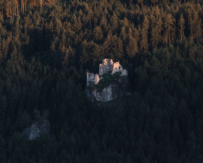 High angle view of trees and old castle in forest