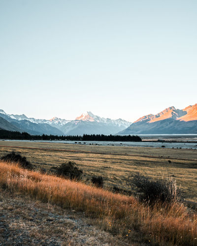 Scenic view of field against clear sky